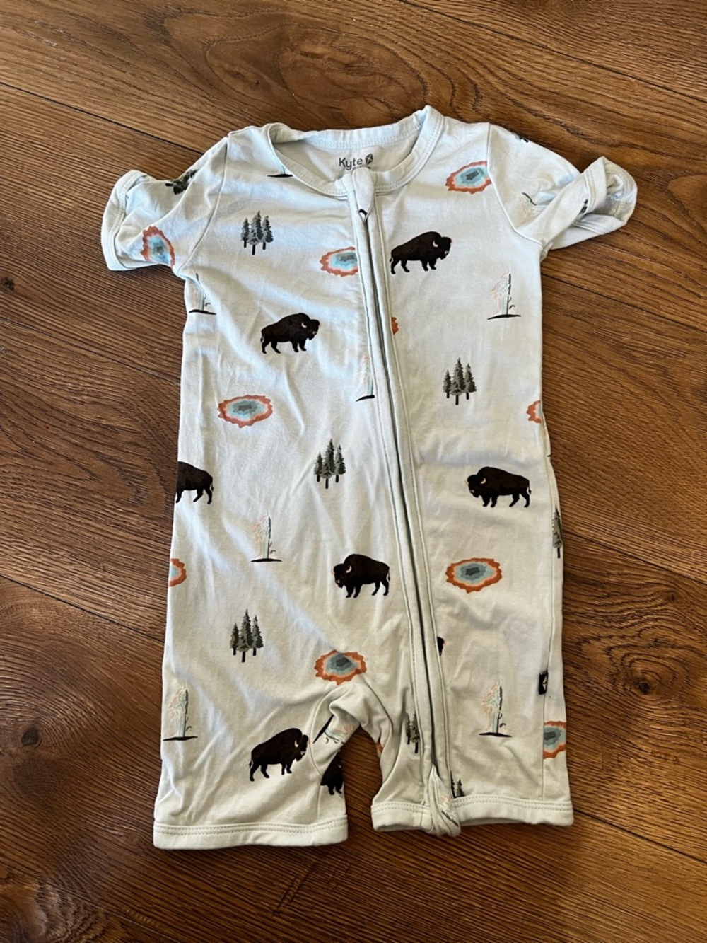 Kyte Baby Zip Romper with Yellowstone Print - National Parks